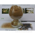 Lentinus Edodes Extract, Shitake polysaccharide, Organic Shiitake mushroom, USA&EU Organic Certificate